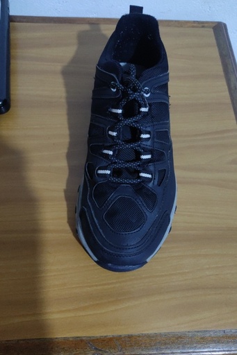 zapato de caballero